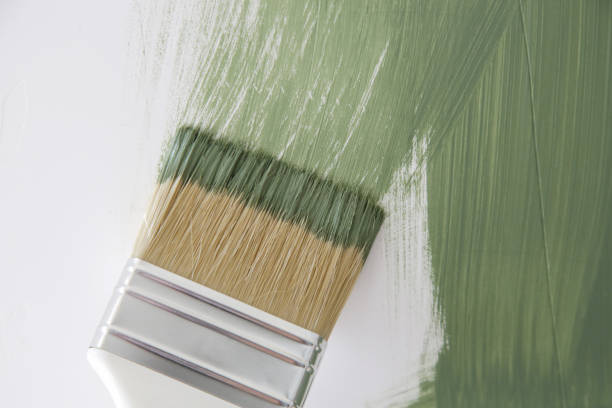 Best Basement Mold Removal  in Connell, WA