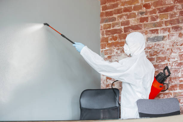 Best HVAC Mold Inspection and Cleaning  in Connell, WA