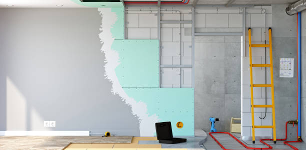 Best Real Estate Mold Inspection  in Connell, WA