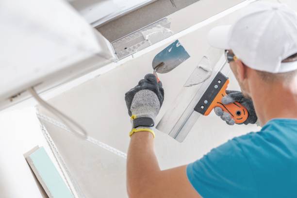 Best Real Estate Mold Inspection  in Connell, WA